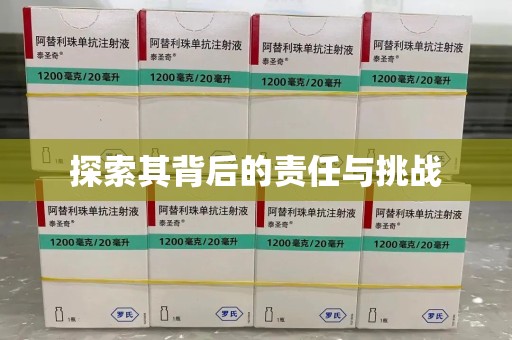 渭南探索其背后的责任与挑战