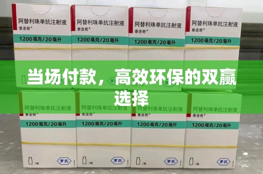 渭南当场付款，高效环保的双赢选择