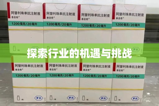 渭南探索行业的机遇与挑战